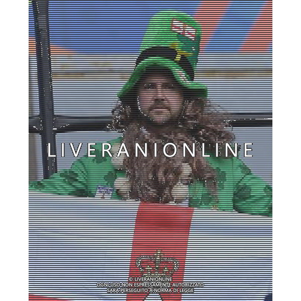 UEFA Francia EURO 2016 Final Tournament Group Stage C Parigi - 21.06.2016 Irlanda del Nord-Germania Nella Foto:tifosi irlanda /Ph.Vitez-Ag. Aldo Liverani