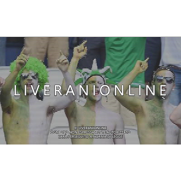 UEFA Francia EURO 2016 Final Tournament Group Stage C Parigi - 21.06.2016 Irlanda del Nord-Germania Nella Foto:tifosi irlanda /Ph.Vitez-Ag. Aldo Liverani