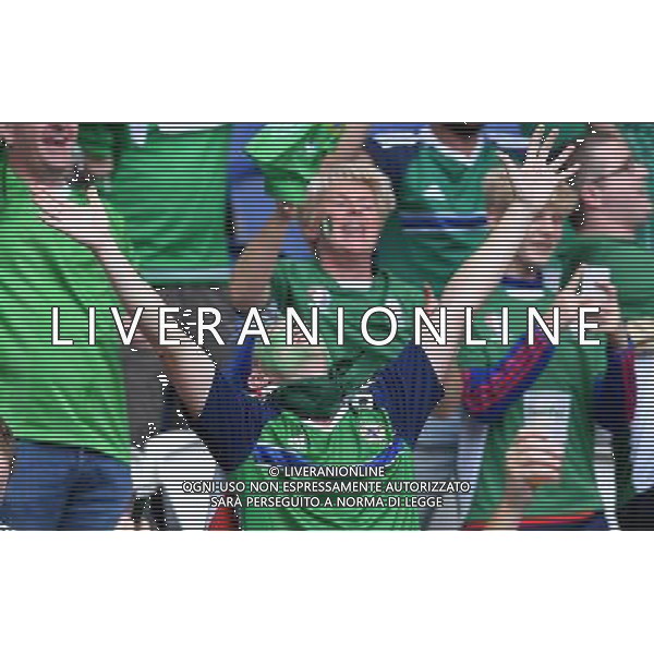 UEFA Francia EURO 2016 Final Tournament Group Stage C Parigi - 21.06.2016 Irlanda del Nord-Germania Nella Foto:tifosi irlanda /Ph.Vitez-Ag. Aldo Liverani