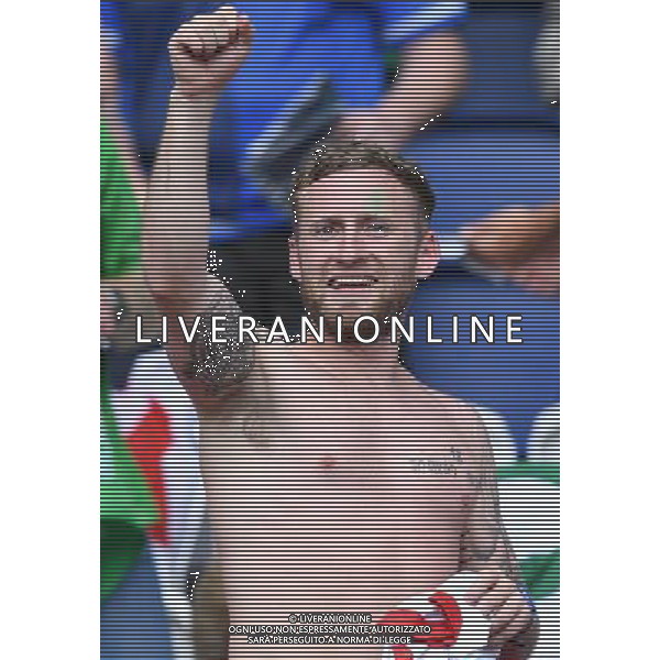 UEFA Francia EURO 2016 Final Tournament Group Stage C Parigi - 21.06.2016 Irlanda del Nord-Germania Nella Foto:tifosi irlanda /Ph.Vitez-Ag. Aldo Liverani