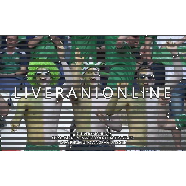 UEFA Francia EURO 2016 Final Tournament Group Stage C Parigi - 21.06.2016 Irlanda del Nord-Germania Nella Foto:tifosi irlanda /Ph.Vitez-Ag. Aldo Liverani
