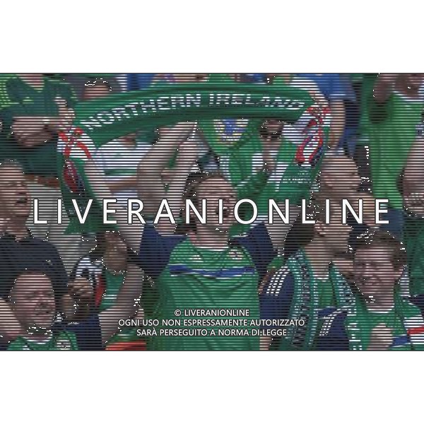 UEFA Francia EURO 2016 Final Tournament Group Stage C Parigi - 21.06.2016 Irlanda del Nord-Germania Nella Foto:tifosi irlanda /Ph.Vitez-Ag. Aldo Liverani