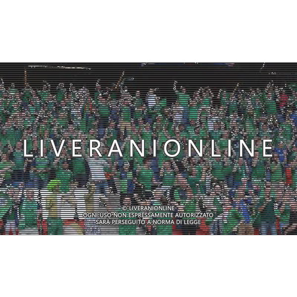 UEFA Francia EURO 2016 Final Tournament Group Stage C Parigi - 21.06.2016 Irlanda del Nord-Germania Nella Foto:tifosi irlanda /Ph.Vitez-Ag. Aldo Liverani