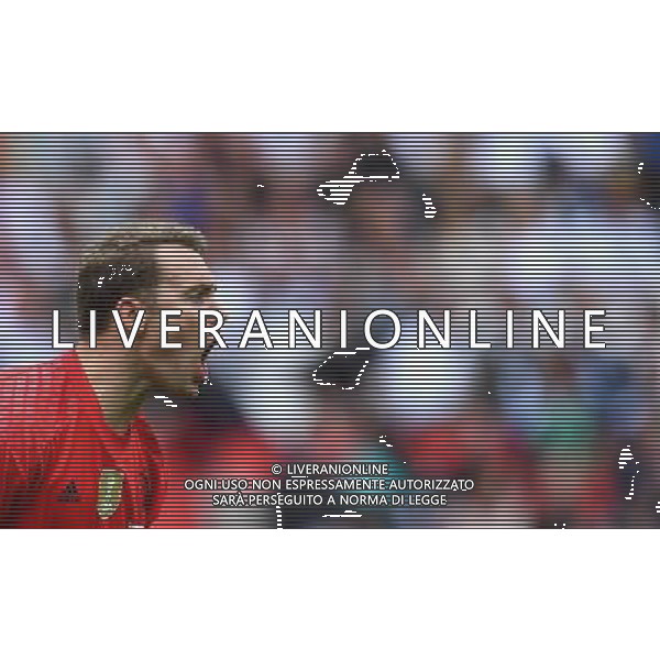 UEFA Francia EURO 2016 Final Tournament Group Stage C Parigi - 21.06.2016 Irlanda del Nord-Germania Nella Foto:neuer /Ph.Vitez-Ag. Aldo Liverani