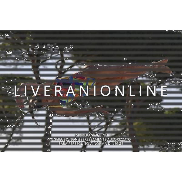 Campionati Italiani Assoluti Estivi Open Roma - 21.06.2016 - Stadio del Nuoto - nella foto: Tania Cagnotto /Ph. Corradetti - AG ALDO LIVERANI SAS