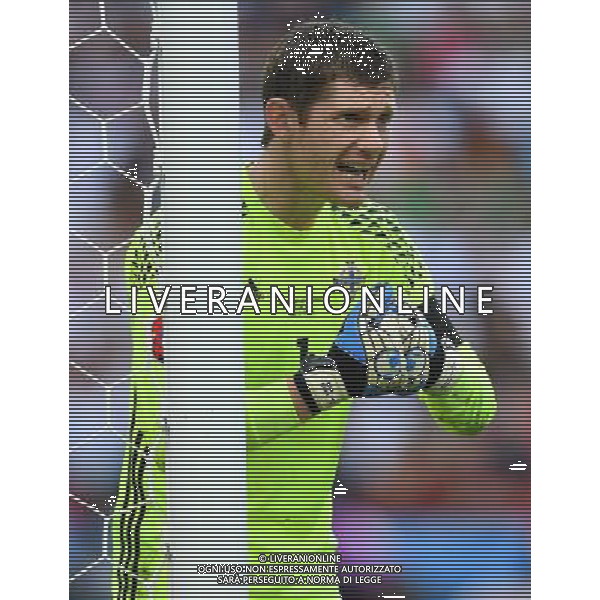 UEFA Francia EURO 2016 Final Tournament Group Stage C Parigi - 21.06.2016 Irlanda del Nord-Germania Nella Foto:mc govern /Ph.Vitez-Ag. Aldo Liverani