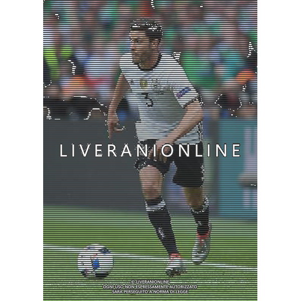 UEFA Francia EURO 2016 Final Tournament Group Stage C Parigi - 21.06.2016 Irlanda del Nord-Germania Nella Foto:Hector Jonas /Ph.Vitez-Ag. Aldo Liverani