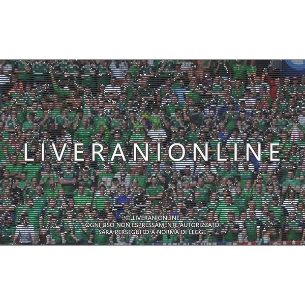 UEFA Francia EURO 2016 Final Tournament Group Stage C Parigi - 21.06.2016 Irlanda del Nord-Germania Nella Foto:Tifosi Irlanda /Ph.Vitez-Ag. Aldo Liverani