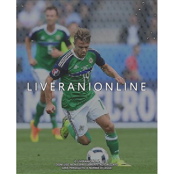 UEFA Francia EURO 2016 Final Tournament Group Stage C Parigi - 21.06.2016 Irlanda del Nord-Germania Nella Foto:Ward Jamie /Ph.Vitez-Ag. Aldo Liverani