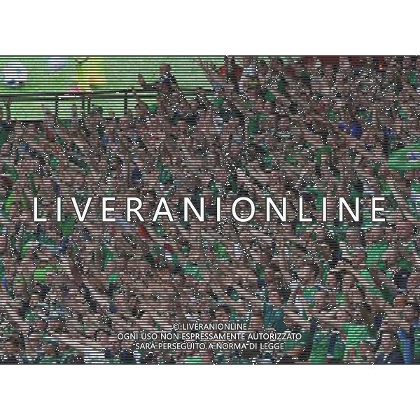 UEFA Francia EURO 2016 Final Tournament Group Stage C Parigi - 21.06.2016 Irlanda del Nord-Germania Nella Foto:Tifosi Irlanda /Ph.Vitez-Ag. Aldo Liverani
