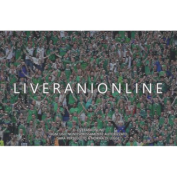 UEFA Francia EURO 2016 Final Tournament Group Stage C Parigi - 21.06.2016 Irlanda del Nord-Germania Nella Foto:Tifosi Irlanda /Ph.Vitez-Ag. Aldo Liverani