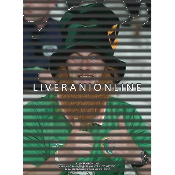 UEFA Francia EURO 2016 Final Tournament Group Stage E Lille - 22.06.2016 Italia-Repubblica d\'Irlanda Nella Foto:tifosi irlanda /Ph.Vitez-Ag. Aldo Liverani
