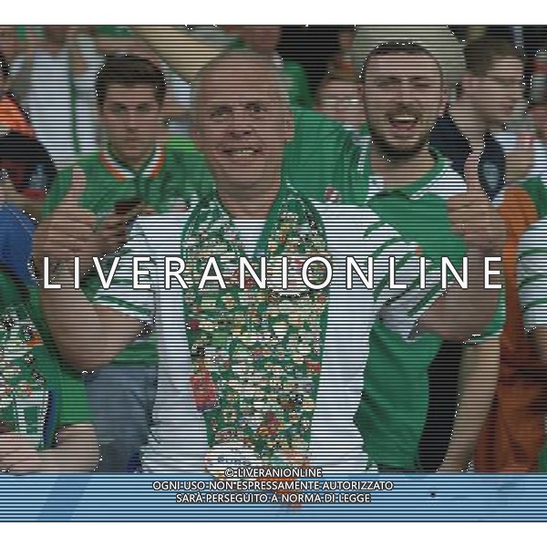 UEFA Francia EURO 2016 Final Tournament Group Stage E Lille - 22.06.2016 Italia-Repubblica d\'Irlanda Nella Foto:tifosi irlanda /Ph.Vitez-Ag. Aldo Liverani