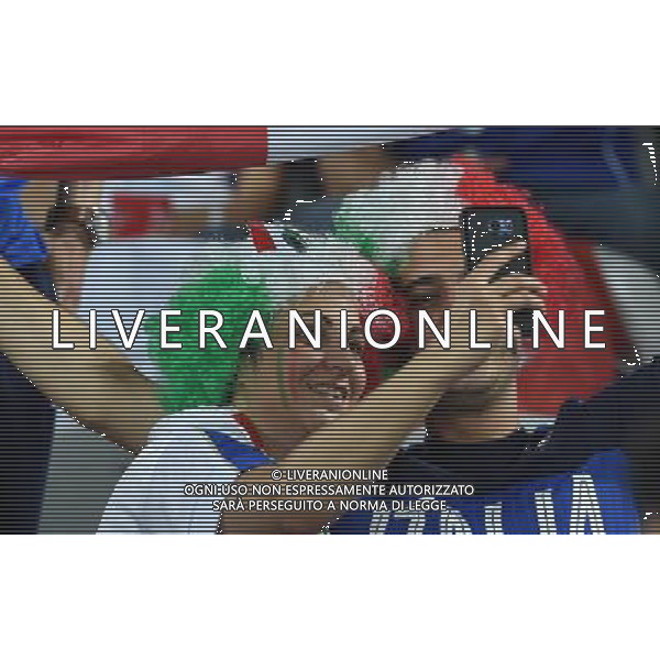 UEFA Francia EURO 2016 Final Tournament Group Stage E Lille - 22.06.2016 Italia-Repubblica d\'Irlanda Nella Foto:tifosi italia /Ph.Vitez-Ag. Aldo Liverani