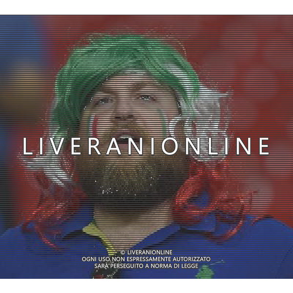 UEFA Francia EURO 2016 Final Tournament Group Stage E Lille - 22.06.2016 Italia-Repubblica d\'Irlanda Nella Foto:tifosi italia /Ph.Vitez-Ag. Aldo Liverani