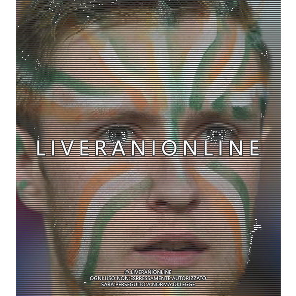 UEFA Francia EURO 2016 Final Tournament Group Stage E Lille - 22.06.2016 Italia-Repubblica d\'Irlanda Nella Foto:tifosi irlanda /Ph.Vitez-Ag. Aldo Liverani