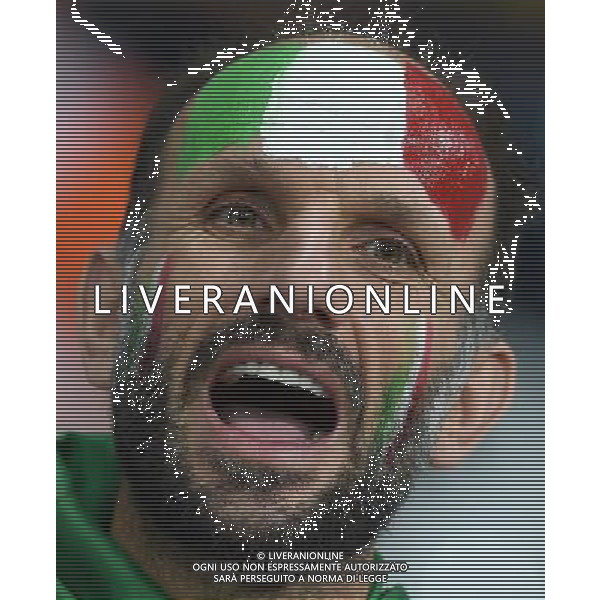 UEFA Francia EURO 2016 Final Tournament Group Stage E Lille - 22.06.2016 Italia-Repubblica d\'Irlanda Nella Foto:tifosi italia /Ph.Vitez-Ag. Aldo Liverani