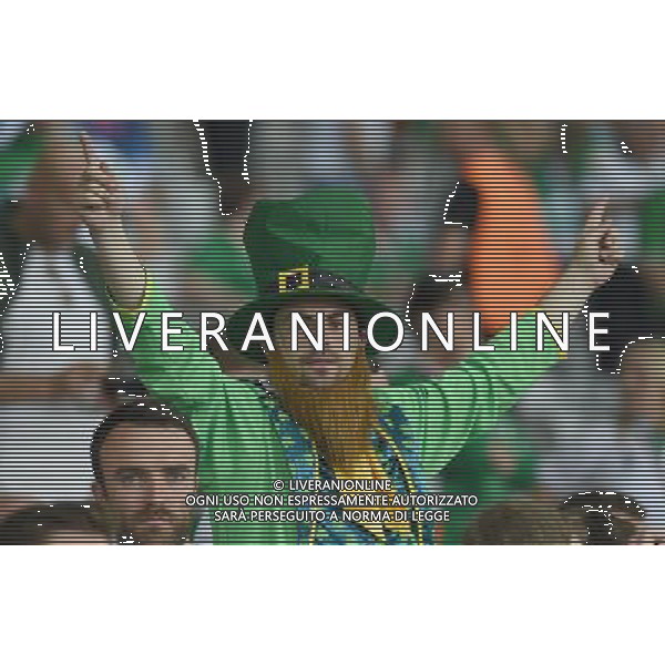 UEFA Francia EURO 2016 Final Tournament Group Stage E Lille - 22.06.2016 Italia-Repubblica d\'Irlanda Nella Foto:tifosi irlanda /Ph.Vitez-Ag. Aldo Liverani