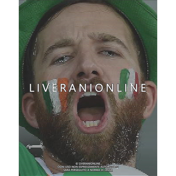UEFA Francia EURO 2016 Final Tournament Group Stage E Lille - 22.06.2016 Italia-Repubblica d\'Irlanda Nella Foto:tifosi irlanda /Ph.Vitez-Ag. Aldo Liverani