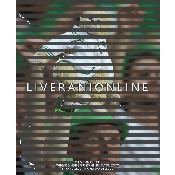 UEFA Francia EURO 2016 Final Tournament Group Stage E Lille - 22.06.2016 Italia-Repubblica d\'Irlanda Nella Foto:tifosi irlanda /Ph.Vitez-Ag. Aldo Liverani