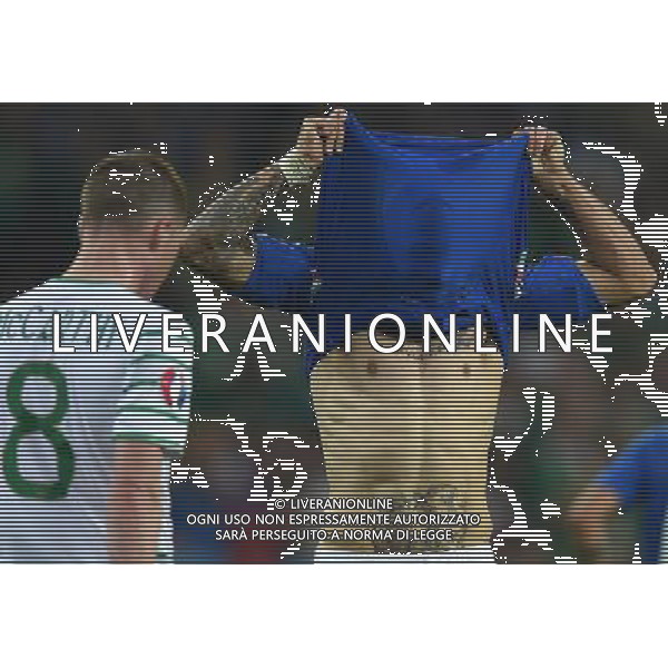 UEFA Francia EURO 2016 Final Tournament Group Stage E Lille - 22.06.2016 Italia-Repubblica d\'Irlanda Nella Foto:zaza simone /Ph.Vitez-Ag. Aldo Liverani