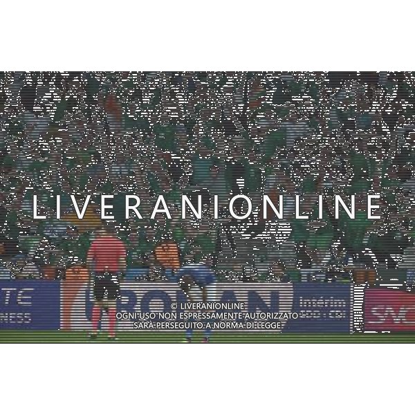 UEFA Francia EURO 2016 Final Tournament Group Stage E Lille - 22.06.2016 Italia-Repubblica d\'Irlanda Nella Foto:l\'esultanza e la gioia dei tifosi irlandesi al gol di brady /Ph.Vitez-Ag. Aldo Liverani