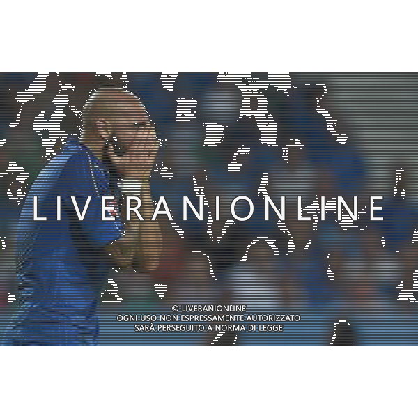 UEFA Francia EURO 2016 Final Tournament Group Stage E Lille - 22.06.2016 Italia-Repubblica d\'Irlanda Nella Foto:zaza simone /Ph.Vitez-Ag. Aldo Liverani