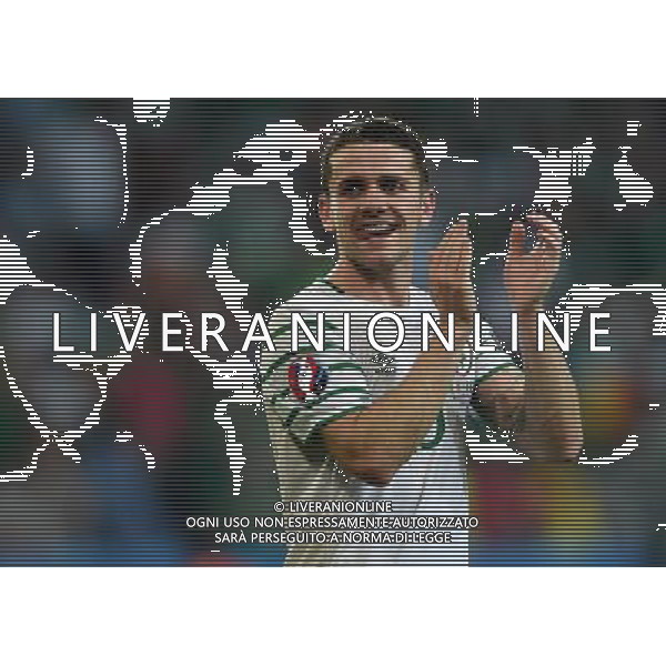 UEFA Francia EURO 2016 Final Tournament Group Stage E Lille - 22.06.2016 Italia-Repubblica d\'Irlanda Nella Foto:Brady Robbie /Ph.Vitez-Ag. Aldo Liverani