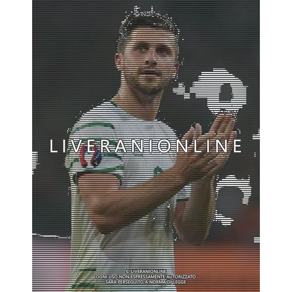 UEFA Francia EURO 2016 Final Tournament Group Stage E Lille - 22.06.2016 Italia-Repubblica d\'Irlanda Nella Foto:Long Shane /Ph.Vitez-Ag. Aldo Liverani