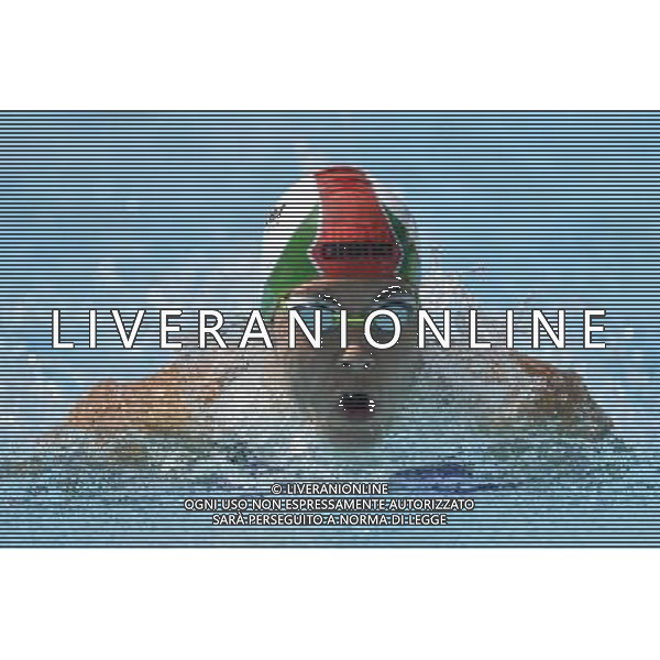 Internazionali di Nuoto 53 Trofeo Settecolli Roma - 24.06.2016 - Stadio del Nuoto - nella foto: Liliana Szilagyi HUN /Ph. Corradetti - AG ALDO LIVERANI SAS