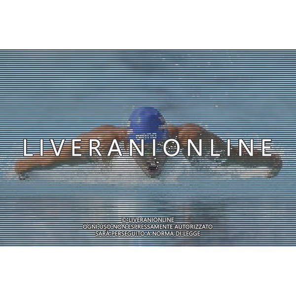 Internazionali di Nuoto 53 Trofeo Settecolli Roma - 25.06.2016 - Stadio del Nuoto - nella foto: Jordan Coelho FRA /Ph. Corradetti - AG ALDO LIVERANI SAS