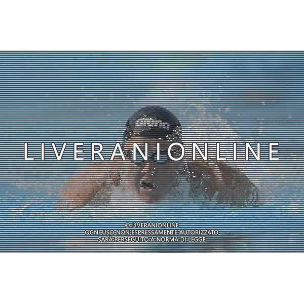 Internazionali di Nuoto 53 Trofeo Settecolli Roma - 25.06.2016 - Stadio del Nuoto - nella foto: Inge Dekker NED /Ph. Corradetti - AG ALDO LIVERANI SAS