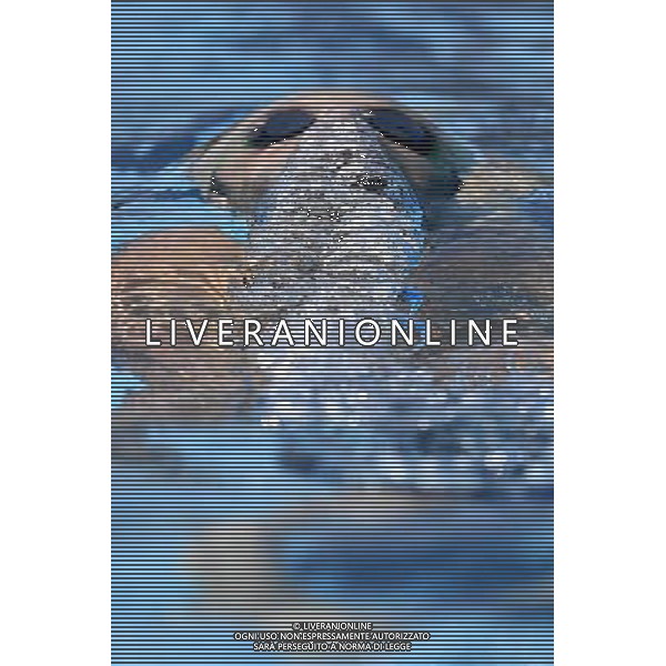 Internazionali di Nuoto 53 Trofeo Settecolli Roma - 25.06.2016 - Stadio del Nuoto - nella foto: Mirco Di Tora /Ph. Corradetti - AG ALDO LIVERANI SAS