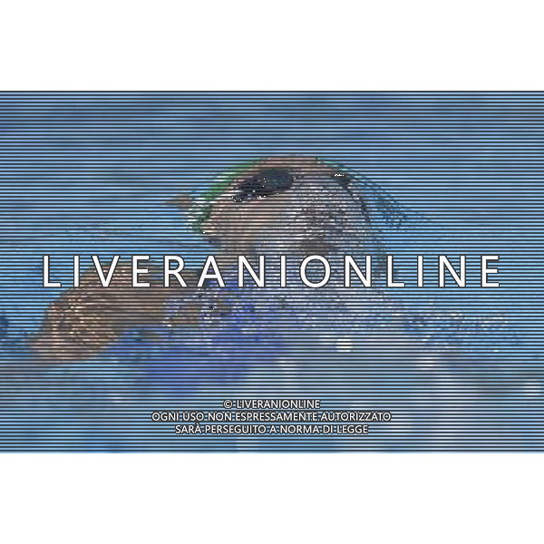 Internazionali di Nuoto 53 Trofeo Settecolli Roma - 25.06.2016 - Stadio del Nuoto - nella foto: Elena Gemo /Ph. Corradetti - AG ALDO LIVERANI SAS