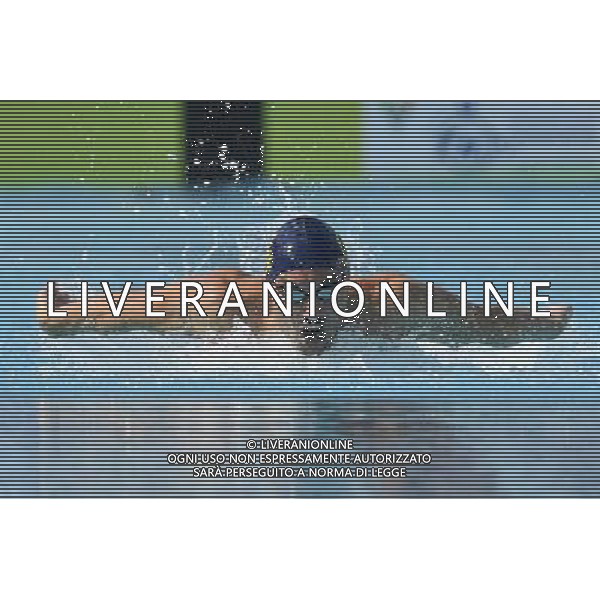 Internazionali di Nuoto 53 Trofeo Settecolli Roma - 25.06.2016 - Stadio del Nuoto - nella foto: Matteo Pelizzari /Ph. Corradetti - AG ALDO LIVERANI SAS