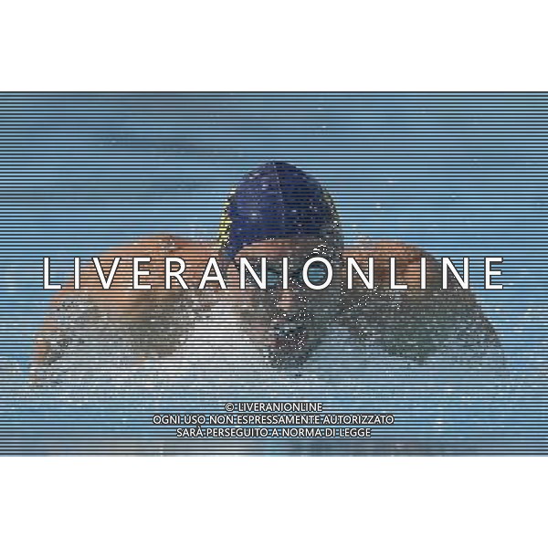 Internazionali di Nuoto 53 Trofeo Settecolli Roma - 25.06.2016 - Stadio del Nuoto - nella foto: Matteo Pelizzari /Ph. Corradetti - AG ALDO LIVERANI SAS