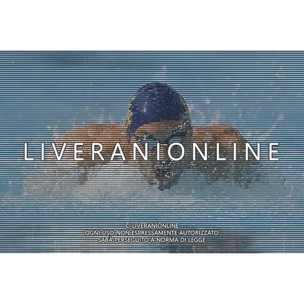 Internazionali di Nuoto 53 Trofeo Settecolli Roma - 25.06.2016 - Stadio del Nuoto - nella foto: Matteo Pelizzari /Ph. Corradetti - AG ALDO LIVERANI SAS