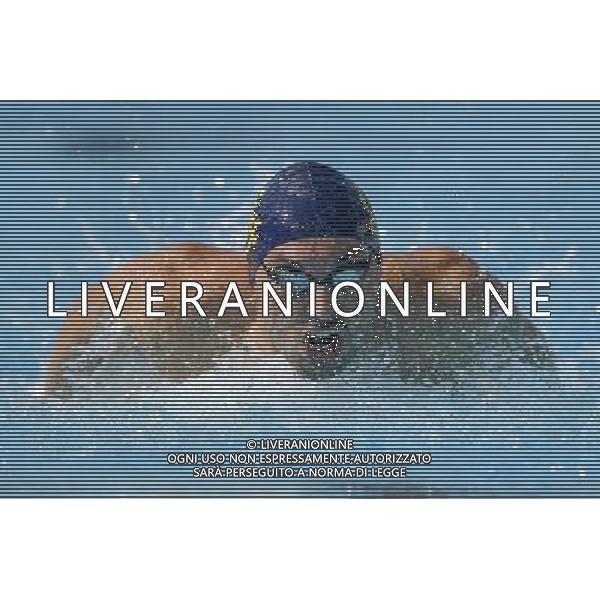 Internazionali di Nuoto 53 Trofeo Settecolli Roma - 25.06.2016 - Stadio del Nuoto - nella foto: Matteo Pelizzari /Ph. Corradetti - AG ALDO LIVERANI SAS