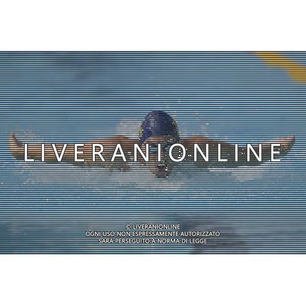 Internazionali di Nuoto 53 Trofeo Settecolli Roma - 25.06.2016 - Stadio del Nuoto - nella foto: Matteo Pelizzari /Ph. Corradetti - AG ALDO LIVERANI SAS