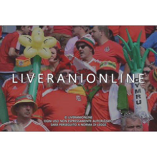 UEFA Francia EURO 2016 Final Tournament Roud of 16 Parigi - 25.06.2016 Galles-Irlanda del Nord Nella Foto:tifosi galles /Ph.Vitez-Ag. Aldo Liverani