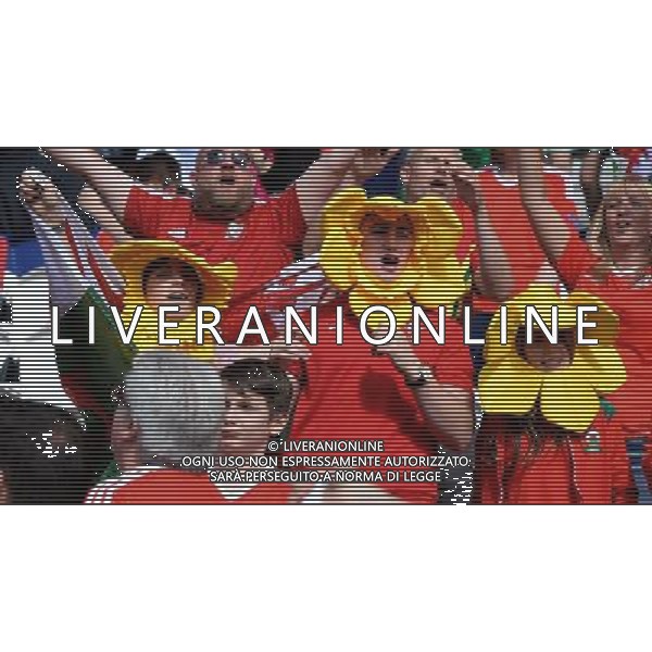 UEFA Francia EURO 2016 Final Tournament Roud of 16 Parigi - 25.06.2016 Galles-Irlanda del Nord Nella Foto:tifosi galles /Ph.Vitez-Ag. Aldo Liverani