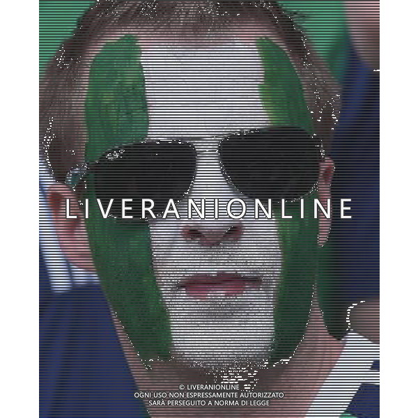 UEFA Francia EURO 2016 Final Tournament Roud of 16 Parigi - 25.06.2016 Galles-Irlanda del Nord Nella Foto:tifosi irlanda /Ph.Vitez-Ag. Aldo Liverani