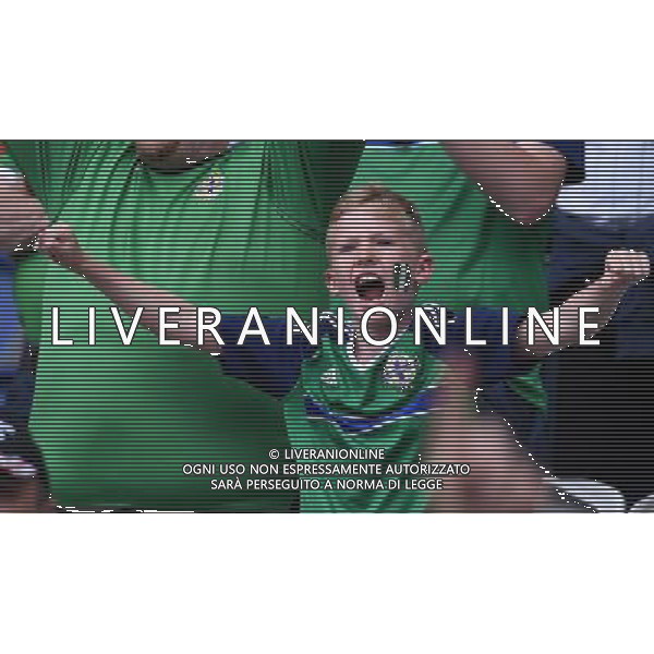 UEFA Francia EURO 2016 Final Tournament Roud of 16 Parigi - 25.06.2016 Galles-Irlanda del Nord Nella Foto:tifosi irlanda /Ph.Vitez-Ag. Aldo Liverani