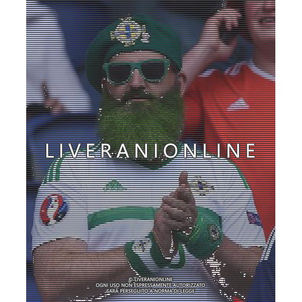 UEFA Francia EURO 2016 Final Tournament Roud of 16 Parigi - 25.06.2016 Galles-Irlanda del Nord Nella Foto:tifosi irlanda /Ph.Vitez-Ag. Aldo Liverani