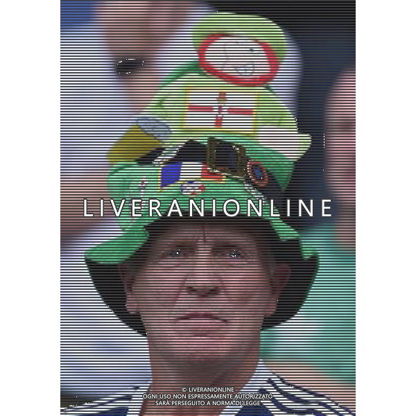 UEFA Francia EURO 2016 Final Tournament Roud of 16 Parigi - 25.06.2016 Galles-Irlanda del Nord Nella Foto:tifosi irlanda /Ph.Vitez-Ag. Aldo Liverani