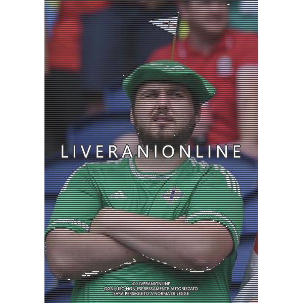 UEFA Francia EURO 2016 Final Tournament Roud of 16 Parigi - 25.06.2016 Galles-Irlanda del Nord Nella Foto:tifosi irlanda /Ph.Vitez-Ag. Aldo Liverani