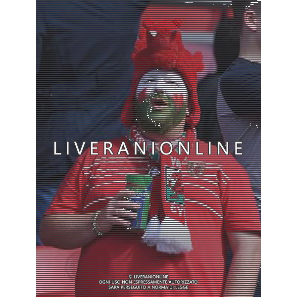 UEFA Francia EURO 2016 Final Tournament Roud of 16 Parigi - 25.06.2016 Galles-Irlanda del Nord Nella Foto:tifosi galles /Ph.Vitez-Ag. Aldo Liverani