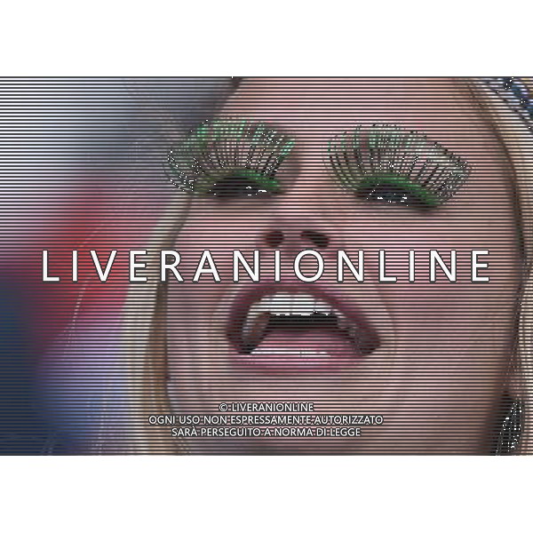 UEFA Francia EURO 2016 Final Tournament Roud of 16 Parigi - 25.06.2016 Galles-Irlanda del Nord Nella Foto:tifosi irlanda /Ph.Vitez-Ag. Aldo Liverani