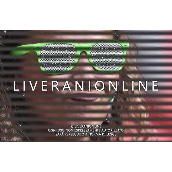 UEFA Francia EURO 2016 Final Tournament Roud of 16â€¨Parigi - 25.06.2016â€¨Galles-Irlanda del Nordâ€¨Nella Foto:tifosi irlandaâ€¨/Ph.Vitez-Ag. Aldo Liveraniâ€¨