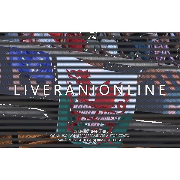 UEFA Francia EURO 2016 Final Tournament Roud of 16 Parigi - 25.06.2016 Galles-Irlanda del Nord Nella Foto:bandiera della comunita\' europea vicina a quella del galles /Ph.Vitez-Ag. Aldo Liverani